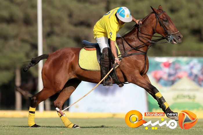 هفته پایانی مسابقات چوگان جام شهید سلیمانی