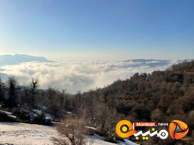 طبیعت زیبای جنگل اولنگ در آغاز بهار