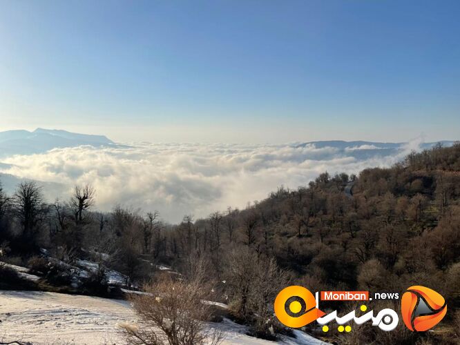 طبیعت زیبای جنگل اولنگ در آغاز بهار