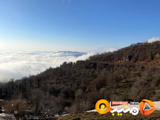 طبیعت زیبای جنگل اولنگ در آغاز بهار