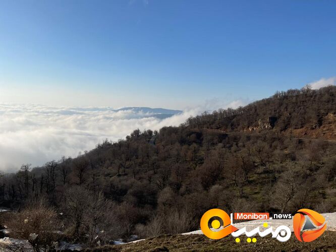 طبیعت زیبای جنگل اولنگ در آغاز بهار