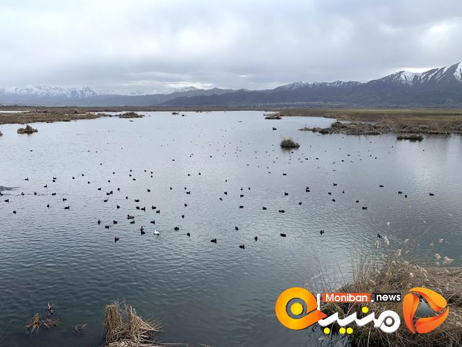 دریاچه زریوار