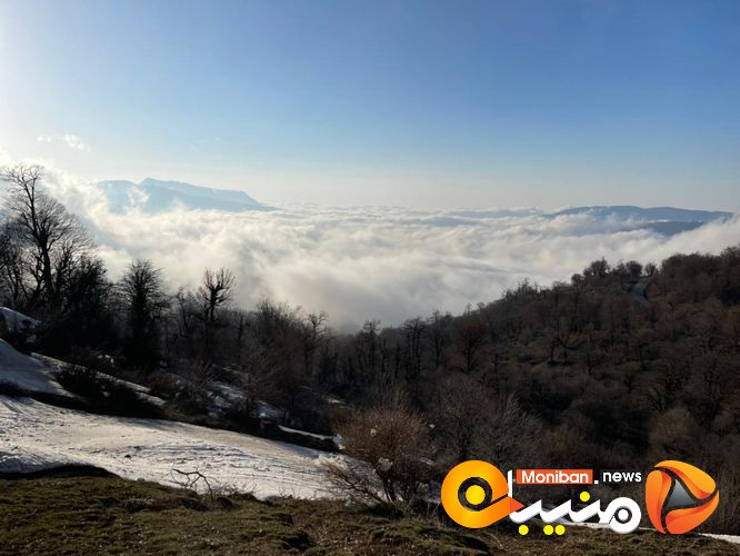 طبیعت زیبای جنگل اولنگ در آغاز بهار