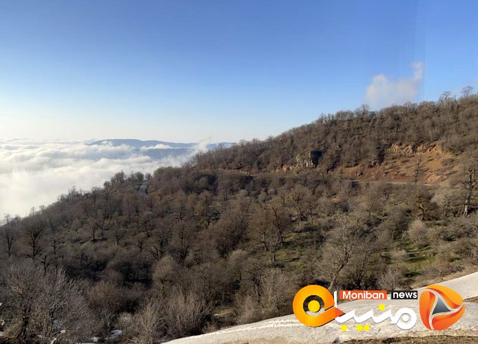 طبیعت زیبای جنگل اولنگ در آغاز بهار