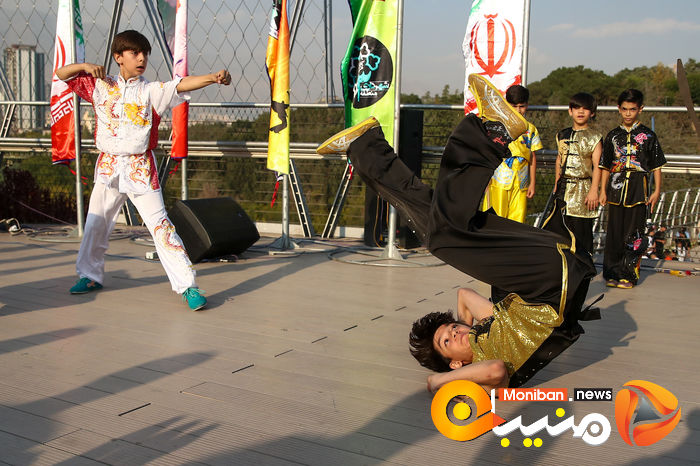 گزارش تصویری| همایش بزرگ ووشوکاران استان تهران در پل طبیعت