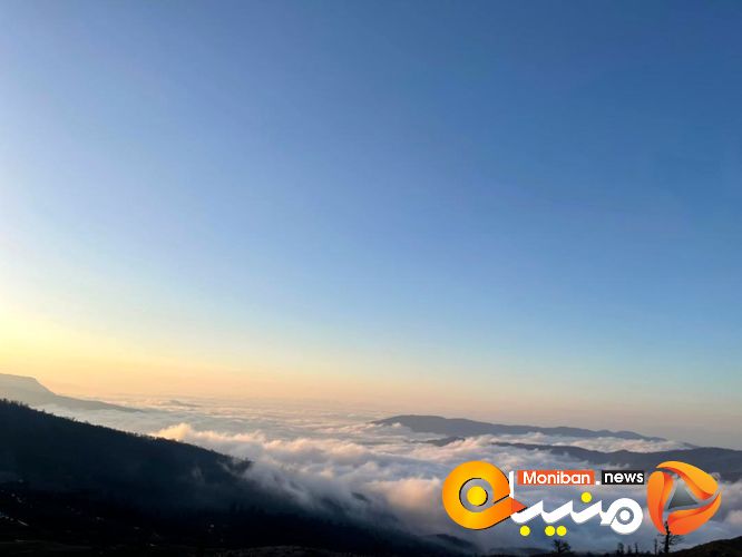 طبیعت زیبای جنگل اولنگ در آغاز بهار