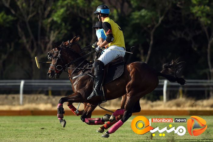 کانون چوگان البرز قهرمان جام فردوسی