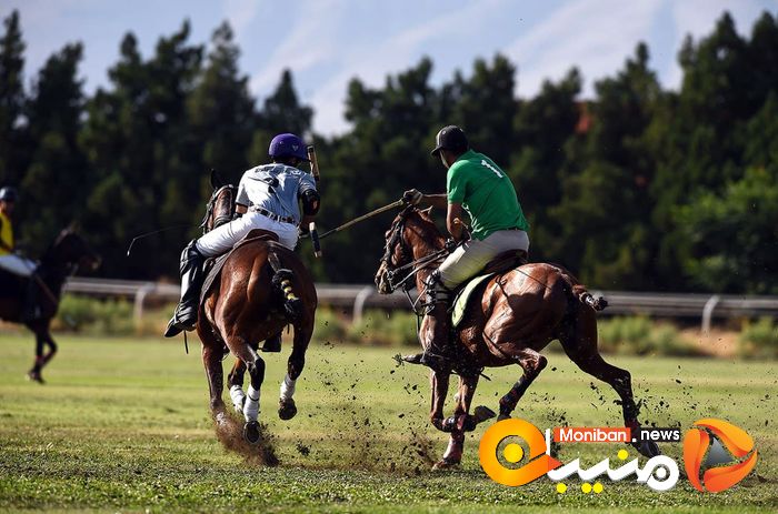 کانون چوگان البرز قهرمان جام فردوسی