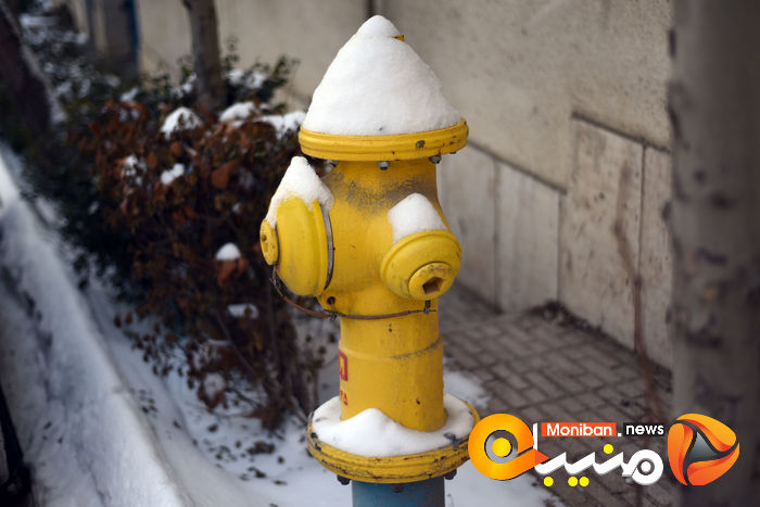 گزارش تصویری| تهران در برف