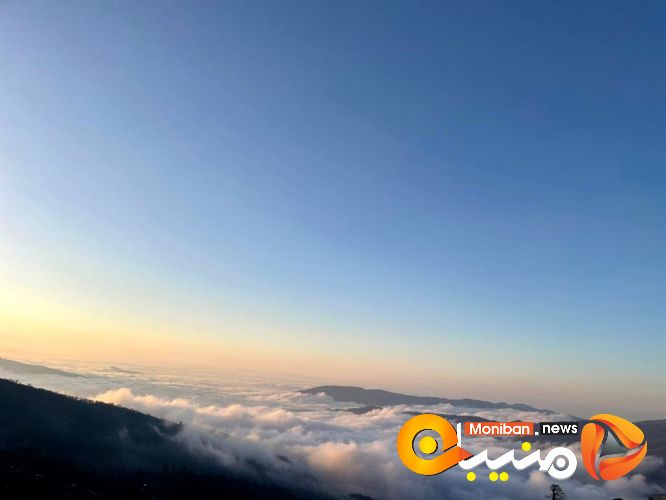 طبیعت زیبای جنگل اولنگ در آغاز بهار