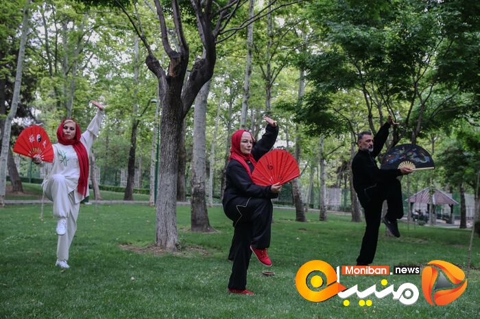روز جهانی تای چی