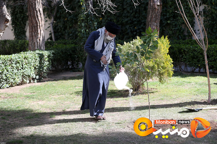 کاشت نهال در هفته منابع طبیعی توسط رهبر معظم انقلاب