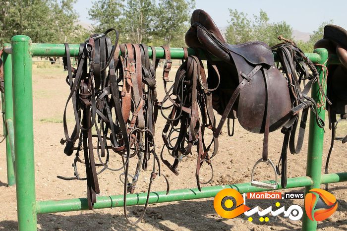 هفته پایانی مسابقات چوگان جام شهید سلیمانی