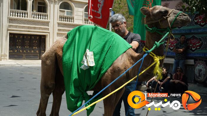 گزارش تصویری| روز عاشورا و شام غریبان