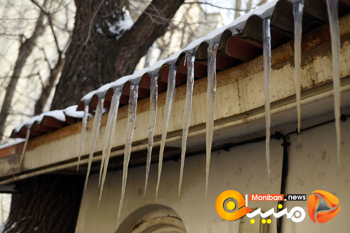 گزارش تصویری| تهران در برف