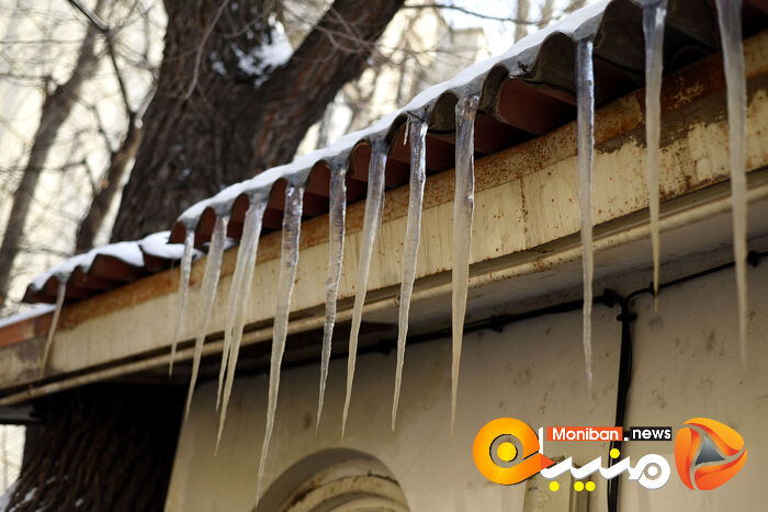گزارش تصویری| تهران در برف
