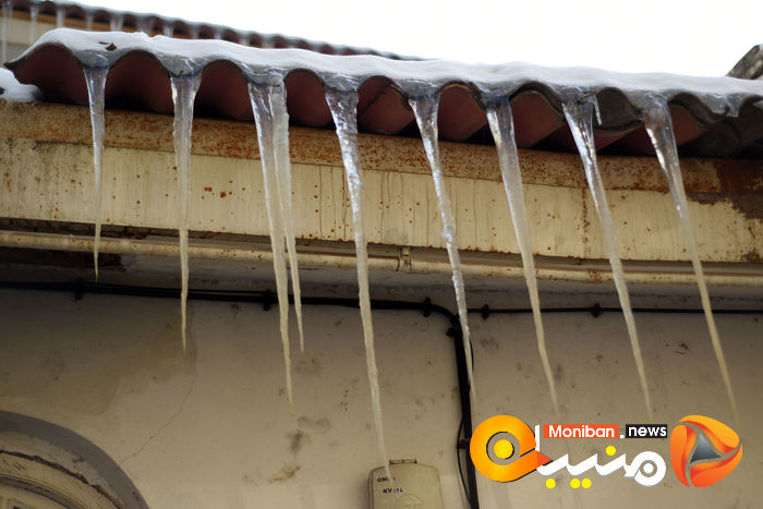 گزارش تصویری| تهران در برف