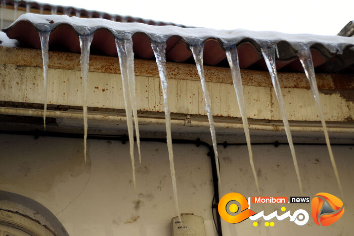 گزارش تصویری| تهران در برف