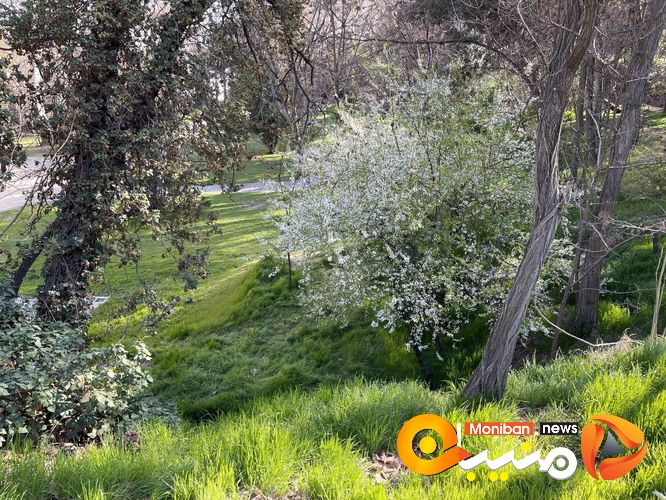 مجموعه سعد آباد در ایام نوروز