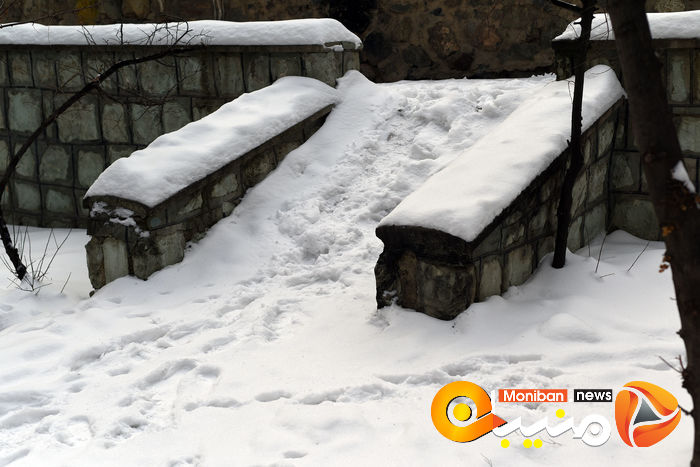 گزارش تصویری| تهران در برف