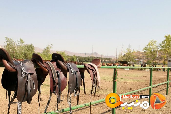 هفته پایانی مسابقات چوگان جام شهید سلیمانی