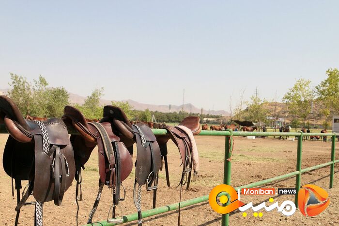 هفته پایانی مسابقات چوگان جام شهید سلیمانی