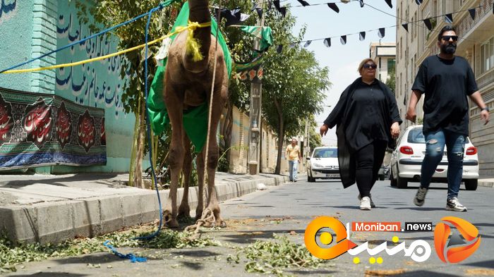 گزارش تصویری| روز عاشورا و شام غریبان