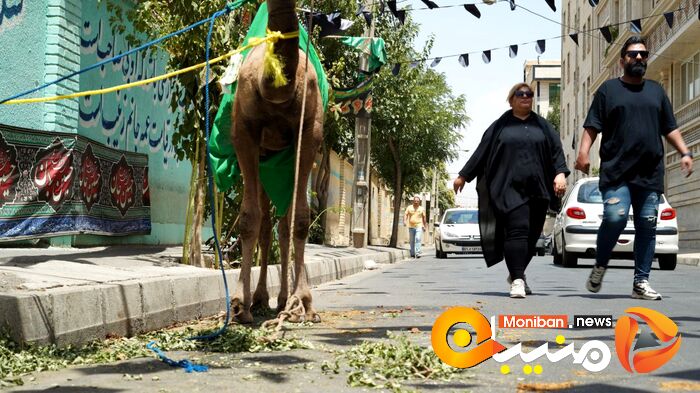 گزارش تصویری| روز عاشورا و شام غریبان