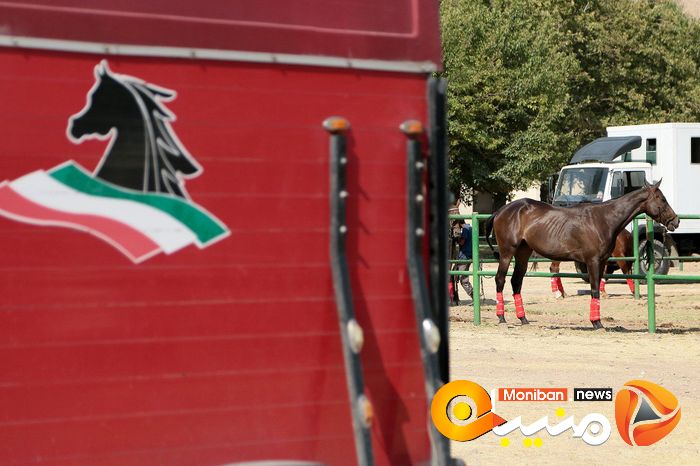 هفته پایانی مسابقات چوگان جام شهید سلیمانی