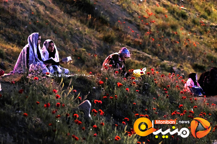 مراسم شب 23 ماه مبارک رمضان در کهف الشهدا