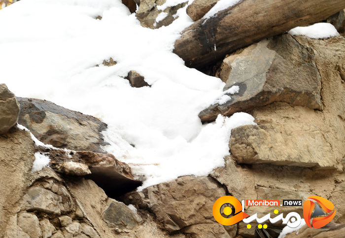 گزارش تصویری| تهران در برف