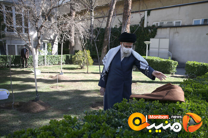 کاشت نهال در هفته منابع طبیعی توسط رهبر معظم انقلاب