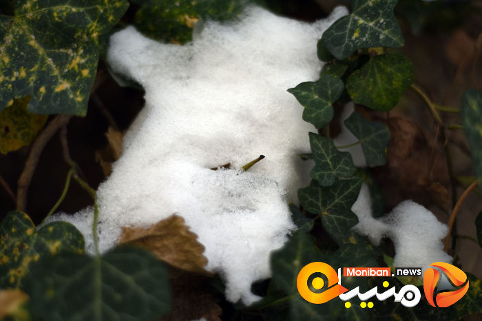 گزارش تصویری| تهران در برف
